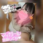 ヒメ日記 2025/09/14 00:41 投稿 みかん 三重四日市ちゃんこ