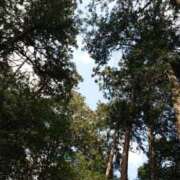 ヒメ日記 2025/10/17 11:11 投稿 みかん 三重四日市ちゃんこ