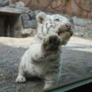 ヒメ日記 2025/05/12 20:52 投稿 さくら☆人妻☆ 岡山人妻デリヘルLipKiss