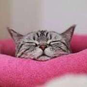 ヒメ日記 2025/06/23 04:08 投稿 さくら☆人妻☆ 岡山人妻デリヘルLipKiss