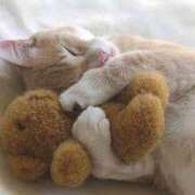 ヒメ日記 2025/07/20 14:20 投稿 さくら☆人妻☆ 岡山人妻デリヘルLipKiss