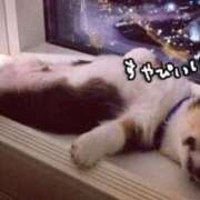 ヒメ日記 2025/07/26 02:40 投稿 さくら☆人妻☆ 岡山人妻デリヘルLipKiss