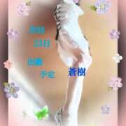 ヒメ日記 2025/02/18 20:00 投稿 蒼樹☆マダム☆ 岡山人妻デリヘルLipKiss