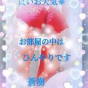 ヒメ日記 2025/03/01 15:16 投稿 蒼樹☆マダム☆ 岡山人妻デリヘルLipKiss