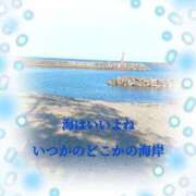 ヒメ日記 2025/03/05 12:02 投稿 蒼樹☆マダム☆ 岡山人妻デリヘルLipKiss