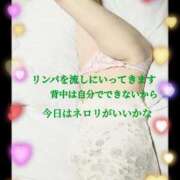 ヒメ日記 2025/03/11 09:26 投稿 蒼樹☆マダム☆ 岡山人妻デリヘルLipKiss