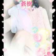 ヒメ日記 2025/03/30 07:52 投稿 蒼樹☆マダム☆ 岡山人妻デリヘルLipKiss