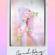 ヒメ日記 2025/04/04 07:06 投稿 蒼樹☆マダム☆ 岡山人妻デリヘルLipKiss