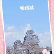 ヒメ日記 2025/04/06 13:58 投稿 蒼樹☆マダム☆ 岡山人妻デリヘルLipKiss