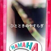 ヒメ日記 2025/04/08 18:52 投稿 蒼樹☆マダム☆ 岡山人妻デリヘルLipKiss