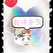 ヒメ日記 2025/04/11 06:18 投稿 蒼樹☆マダム☆ 岡山人妻デリヘルLipKiss