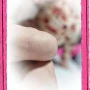 ヒメ日記 2025/04/26 06:14 投稿 蒼樹☆マダム☆ 岡山人妻デリヘルLipKiss