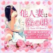 ヒメ日記 2025/05/12 07:36 投稿 蒼樹☆マダム☆ 岡山人妻デリヘルLipKiss