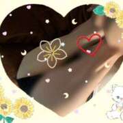 ヒメ日記 2025/07/06 01:44 投稿 蒼樹☆マダム☆ 岡山人妻デリヘルLipKiss