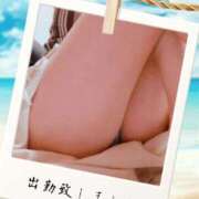 ヒメ日記 2025/07/12 11:56 投稿 蒼樹☆マダム☆ 岡山人妻デリヘルLipKiss