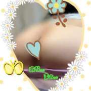 ヒメ日記 2025/07/14 13:32 投稿 蒼樹☆マダム☆ 岡山人妻デリヘルLipKiss