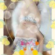 ヒメ日記 2025/07/27 08:04 投稿 蒼樹☆マダム☆ 岡山人妻デリヘルLipKiss