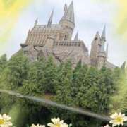 ヒメ日記 2025/07/31 05:18 投稿 蒼樹☆マダム☆ 岡山人妻デリヘルLipKiss