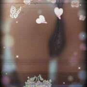 ヒメ日記 2025/08/25 10:08 投稿 蒼樹☆マダム☆ 岡山人妻デリヘルLipKiss