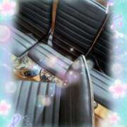 ヒメ日記 2025/08/27 06:56 投稿 蒼樹☆マダム☆ 岡山人妻デリヘルLipKiss