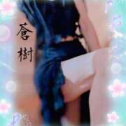 ヒメ日記 2025/09/02 01:50 投稿 蒼樹☆マダム☆ 岡山人妻デリヘルLipKiss