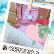 ヒメ日記 2025/09/03 07:52 投稿 蒼樹☆マダム☆ 岡山人妻デリヘルLipKiss