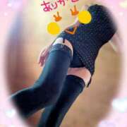 ヒメ日記 2025/09/15 09:54 投稿 蒼樹☆マダム☆ 岡山人妻デリヘルLipKiss