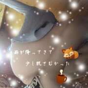 ヒメ日記 2025/09/28 19:24 投稿 蒼樹☆マダム☆ 岡山人妻デリヘルLipKiss