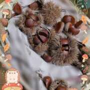 ヒメ日記 2025/11/07 12:04 投稿 蒼樹☆マダム☆ 岡山人妻デリヘルLipKiss