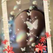 ヒメ日記 2025/11/14 07:24 投稿 蒼樹☆マダム☆ 岡山人妻デリヘルLipKiss