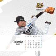 ヒメ日記 2025/11/17 09:34 投稿 蒼樹☆マダム☆ 岡山人妻デリヘルLipKiss