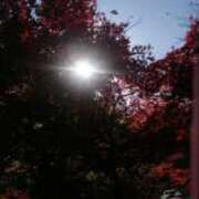 ヒメ日記 2025/11/22 10:02 投稿 蒼樹☆マダム☆ 岡山人妻デリヘルLipKiss