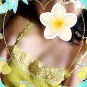 ヒメ日記 2025/11/24 06:40 投稿 蒼樹☆マダム☆ 岡山人妻デリヘルLipKiss