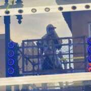 ヒメ日記 2025/11/24 10:06 投稿 蒼樹☆マダム☆ 岡山人妻デリヘルLipKiss