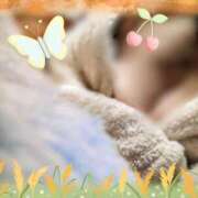 ヒメ日記 2025/11/24 12:32 投稿 蒼樹☆マダム☆ 岡山人妻デリヘルLipKiss