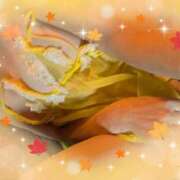 ヒメ日記 2025/12/01 05:54 投稿 蒼樹☆マダム☆ 岡山人妻デリヘルLipKiss