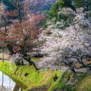 ヒメ日記 2025/04/18 19:36 投稿 ひびき☆Silver 岡山人妻デリヘルLipKiss