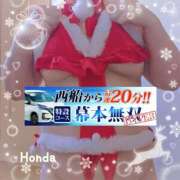 ヒメ日記 2024/12/18 19:49 投稿 本田【ほんだ】 丸妻 西船橋店