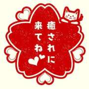 ヒメ日記 2025/01/16 14:10 投稿 本田【ほんだ】 丸妻 西船橋店