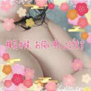 ヒメ日記 2025/02/06 12:14 投稿 本田【ほんだ】 丸妻 西船橋店