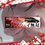 ヒメ日記 2025/02/20 19:01 投稿 本田【ほんだ】 丸妻 西船橋店