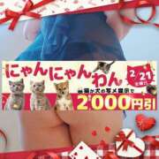 ヒメ日記 2025/02/21 18:30 投稿 本田【ほんだ】 丸妻 西船橋店