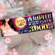ヒメ日記 2025/03/17 19:45 投稿 本田【ほんだ】 丸妻 西船橋店