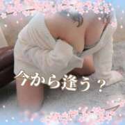 ヒメ日記 2025/03/22 22:11 投稿 本田【ほんだ】 丸妻 西船橋店