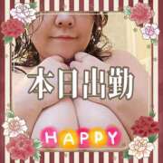 ヒメ日記 2025/04/01 11:30 投稿 本田【ほんだ】 丸妻 西船橋店