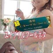 ヒメ日記 2025/04/02 09:30 投稿 本田【ほんだ】 丸妻 西船橋店