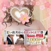 ヒメ日記 2025/04/03 07:01 投稿 本田【ほんだ】 丸妻 西船橋店