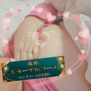 ヒメ日記 2025/04/11 13:02 投稿 本田【ほんだ】 丸妻 西船橋店