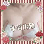 ヒメ日記 2025/04/12 09:01 投稿 本田【ほんだ】 丸妻 西船橋店