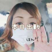 ヒメ日記 2025/04/12 15:03 投稿 本田【ほんだ】 丸妻 西船橋店
